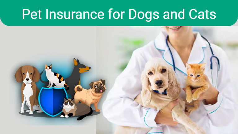 Pet Insurance for Dogs and Cats