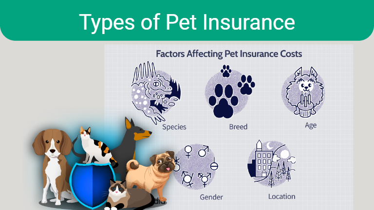 Types of Pet Insurance